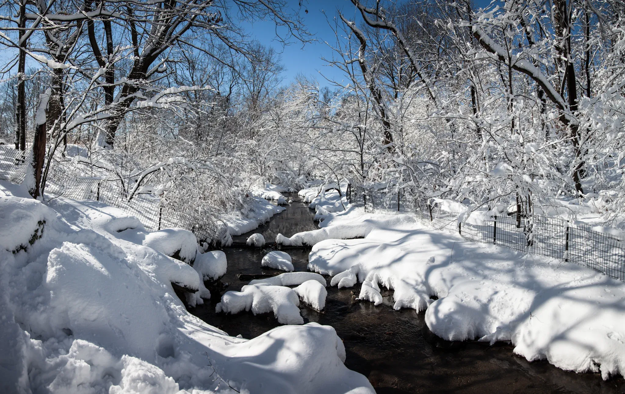 New York urban landscape