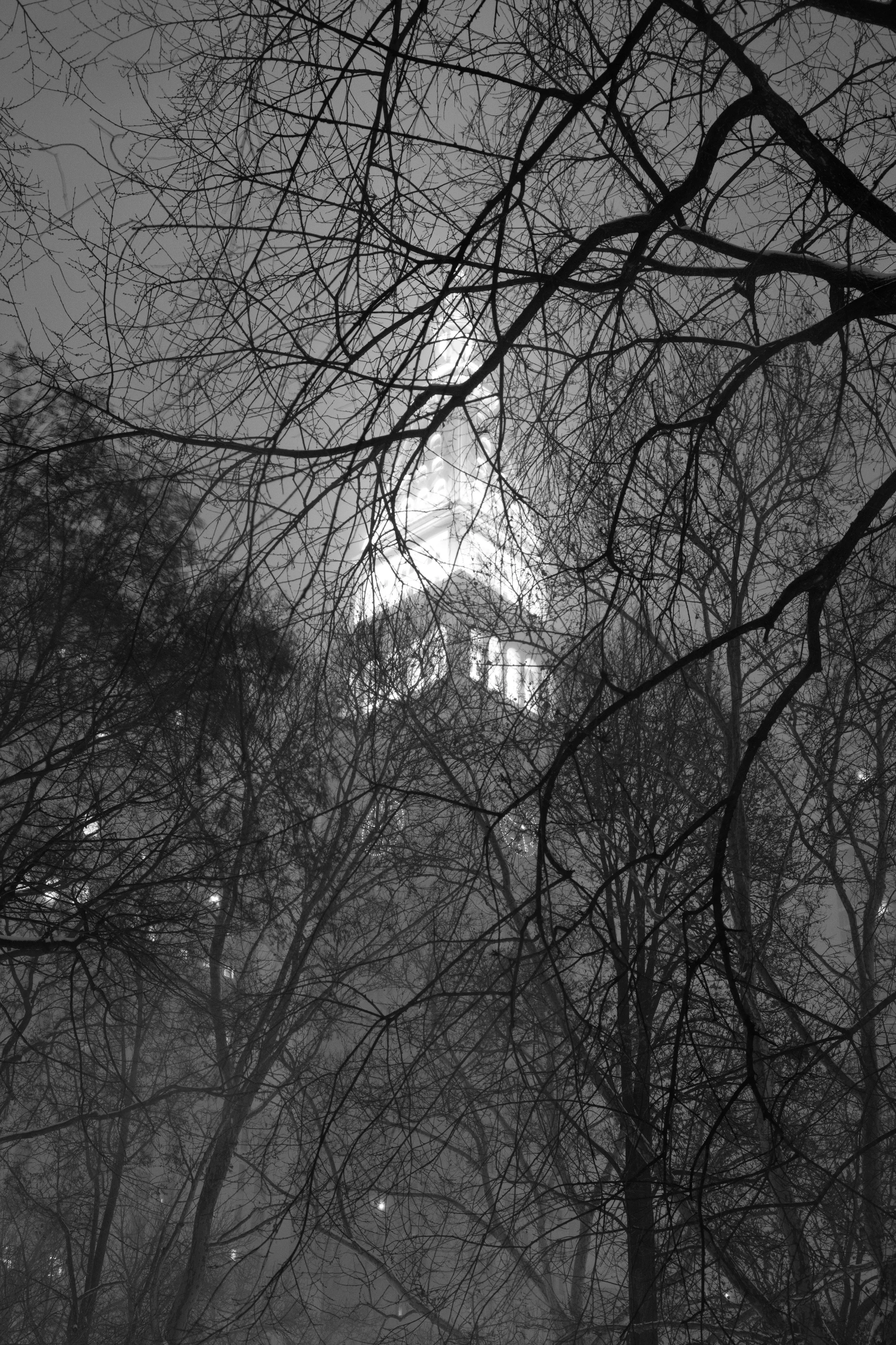 Snowfall in the park