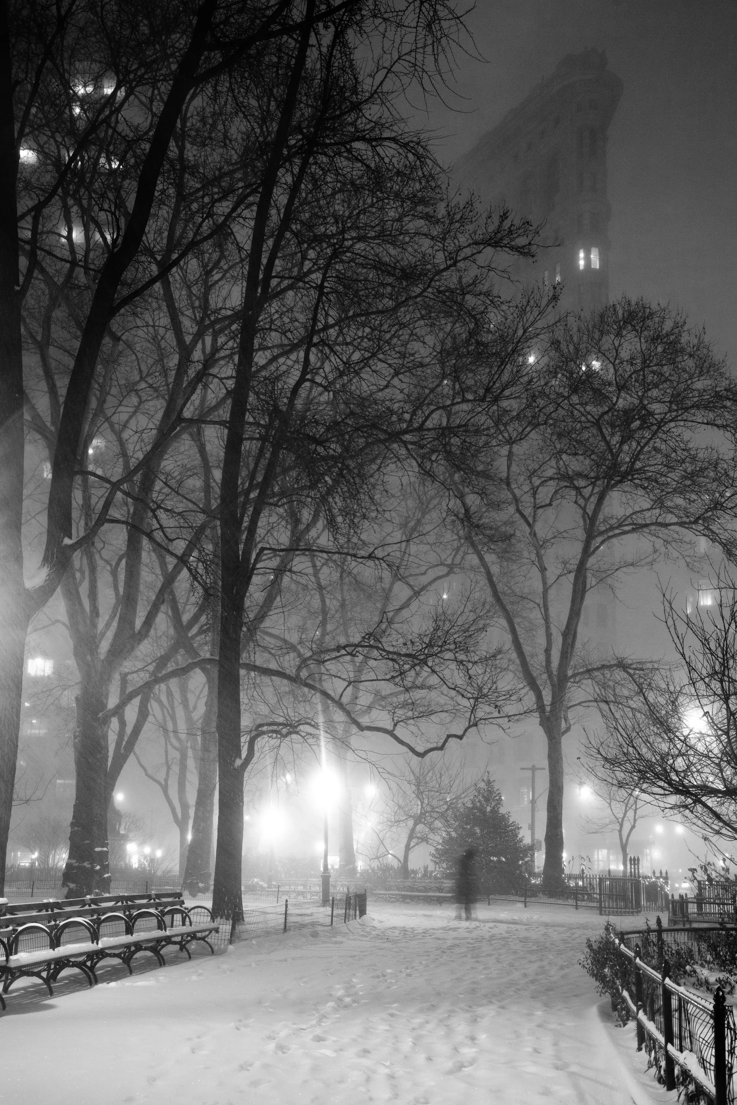 Blanketed park landscape