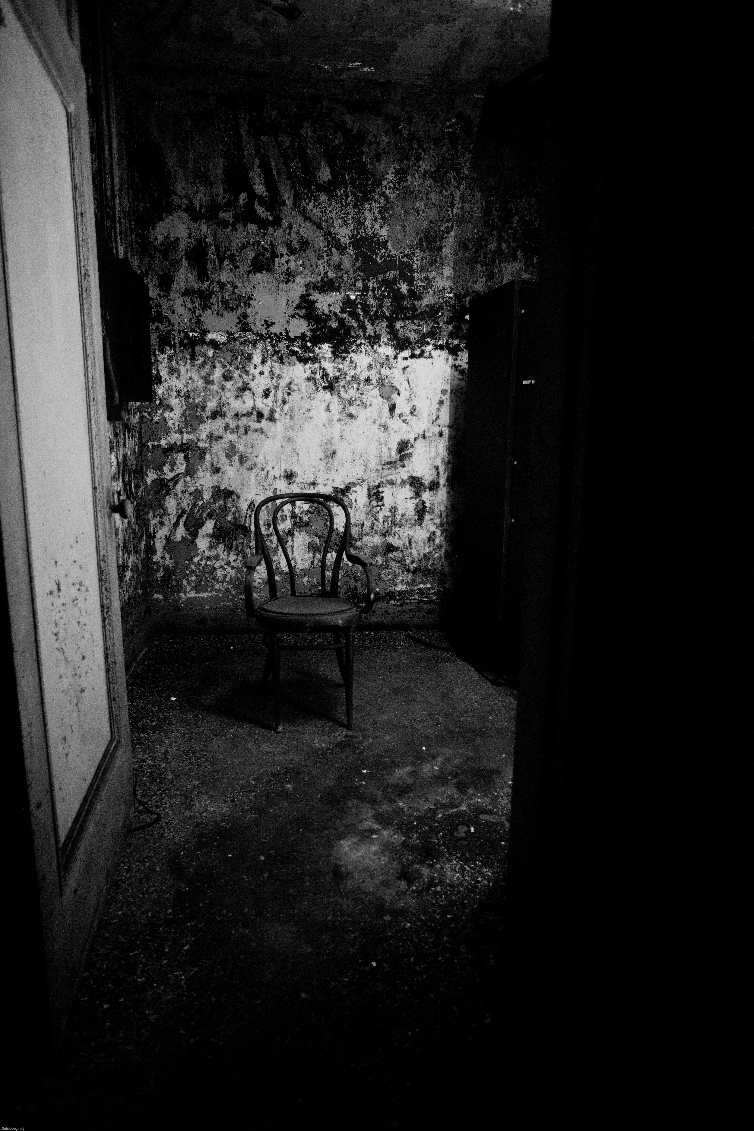 Kings Theatre ornamental ceiling