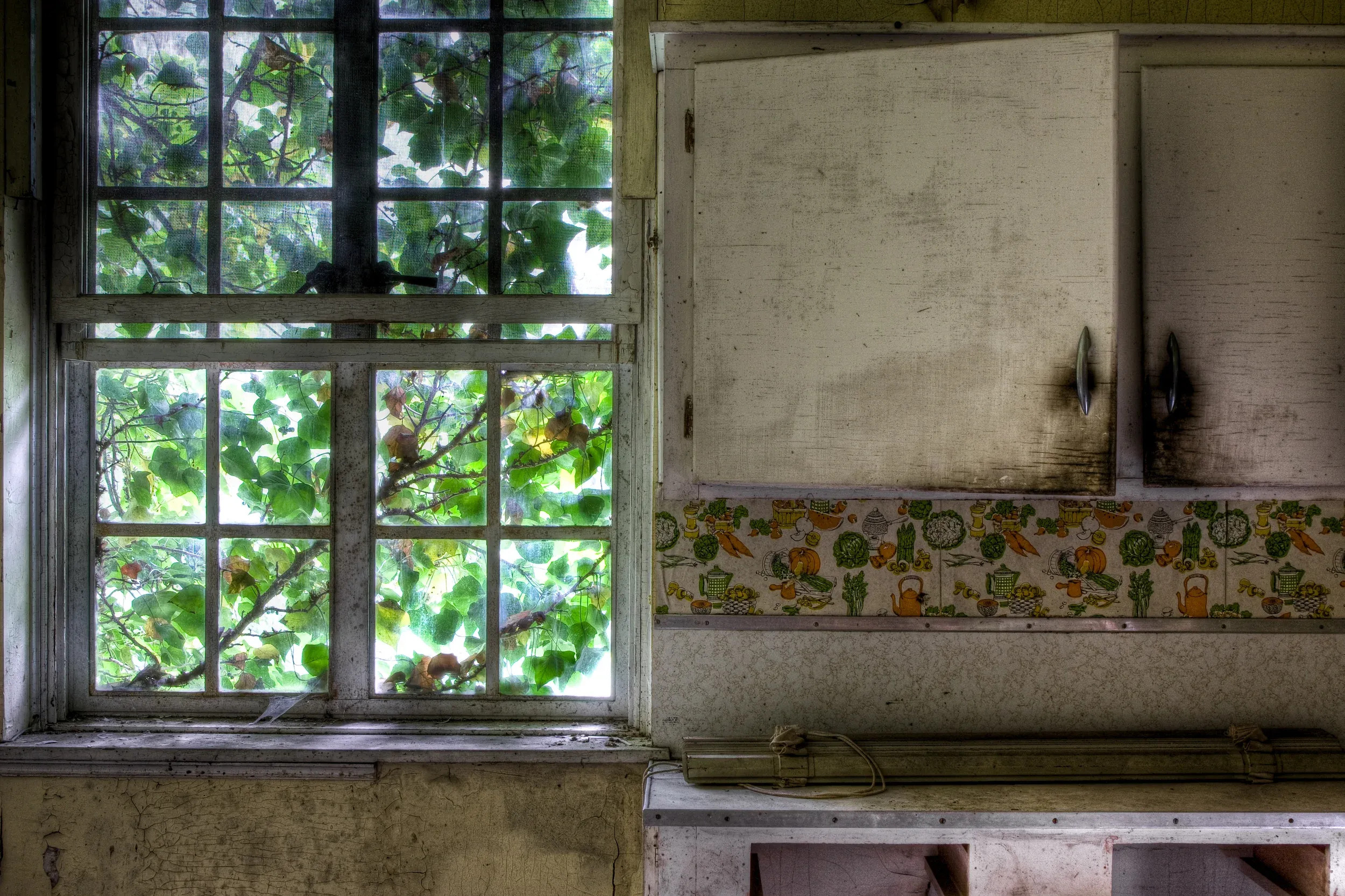 Abandoned kitchen cabinet