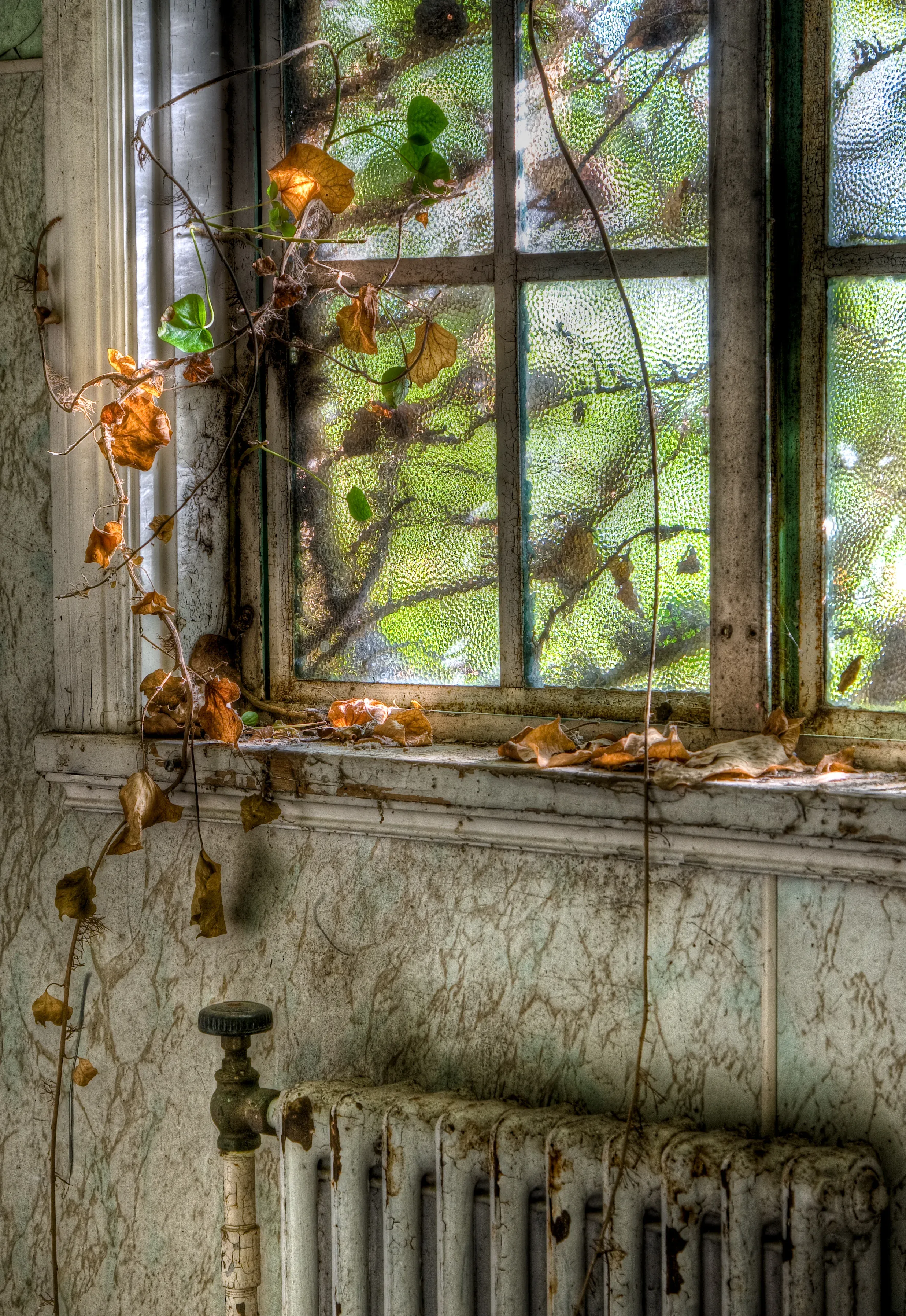 Nature reclaiming structure